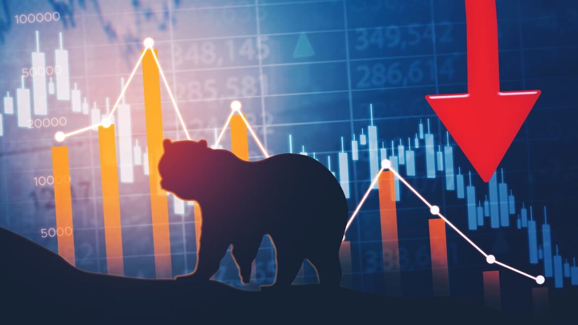 A bear market: how to behave and what to do?